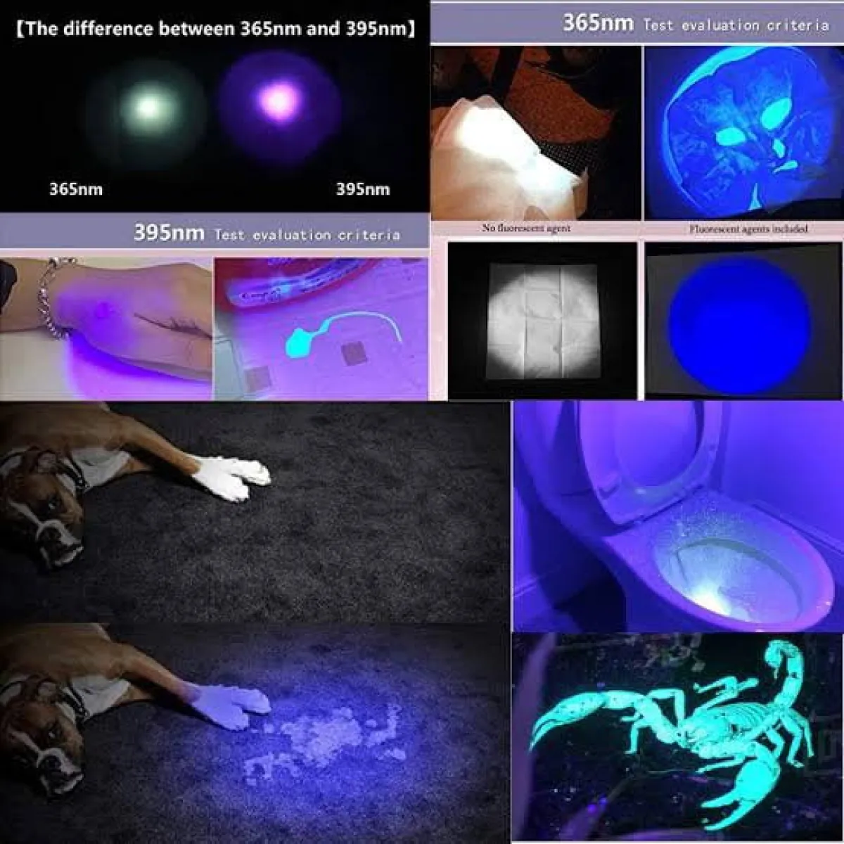Convoy S2+ 365nm UV Flashlight | Pet Urine Detector, Forensics, Scorpion Finder, Currency | Aluminium Alloy in Kenya