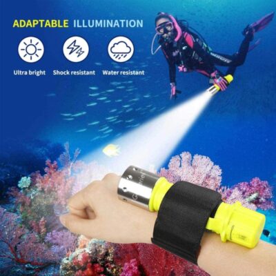 Scuba's 1100LM diving flashlight illuminating underwater dive sites in Nairobi, Kenya, for safe scuba exploration.