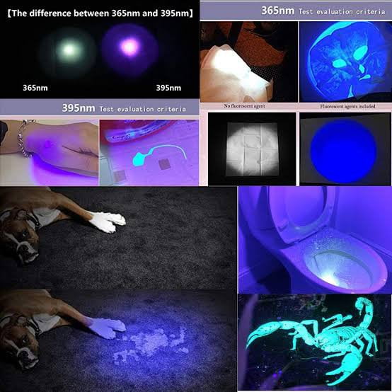 Convoy S2+ 365nm UV flashlight detecting pet urine stains on carpets in a household setting.