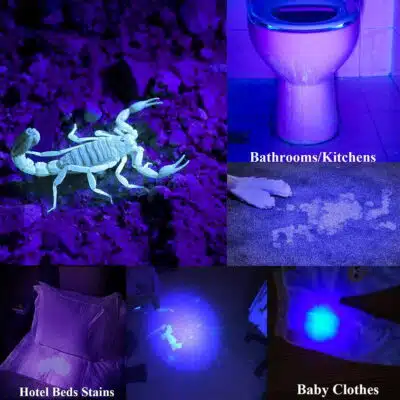 PEETPEN L13 UV flashlight detecting pet urine stains on carpets in a home living room.